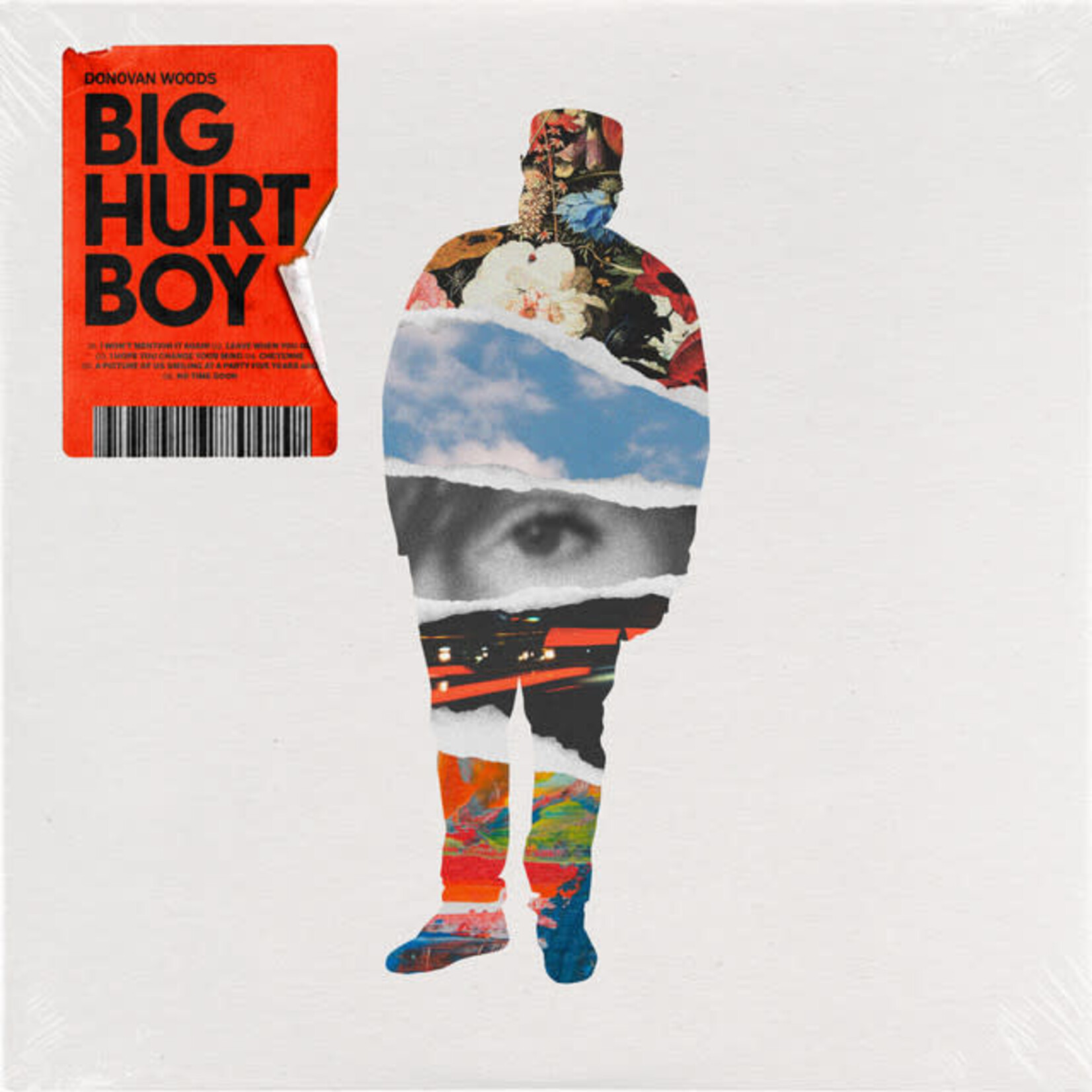 Donovan Woods - Big Hurt Boy [CD]