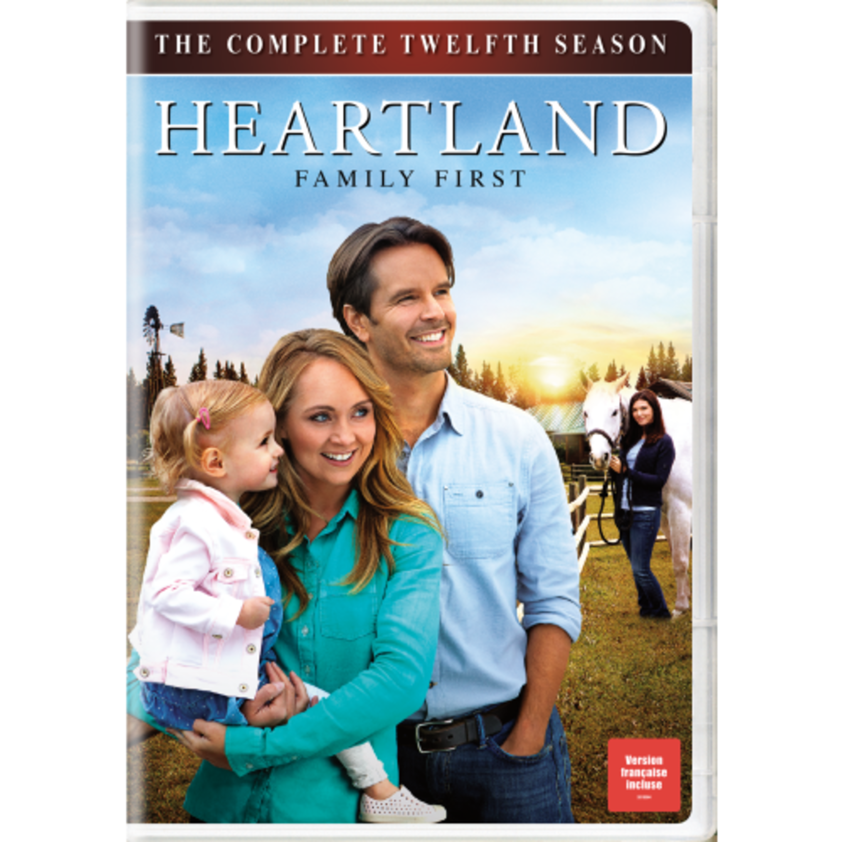 Heartland - Season 12 [USED DVD]
