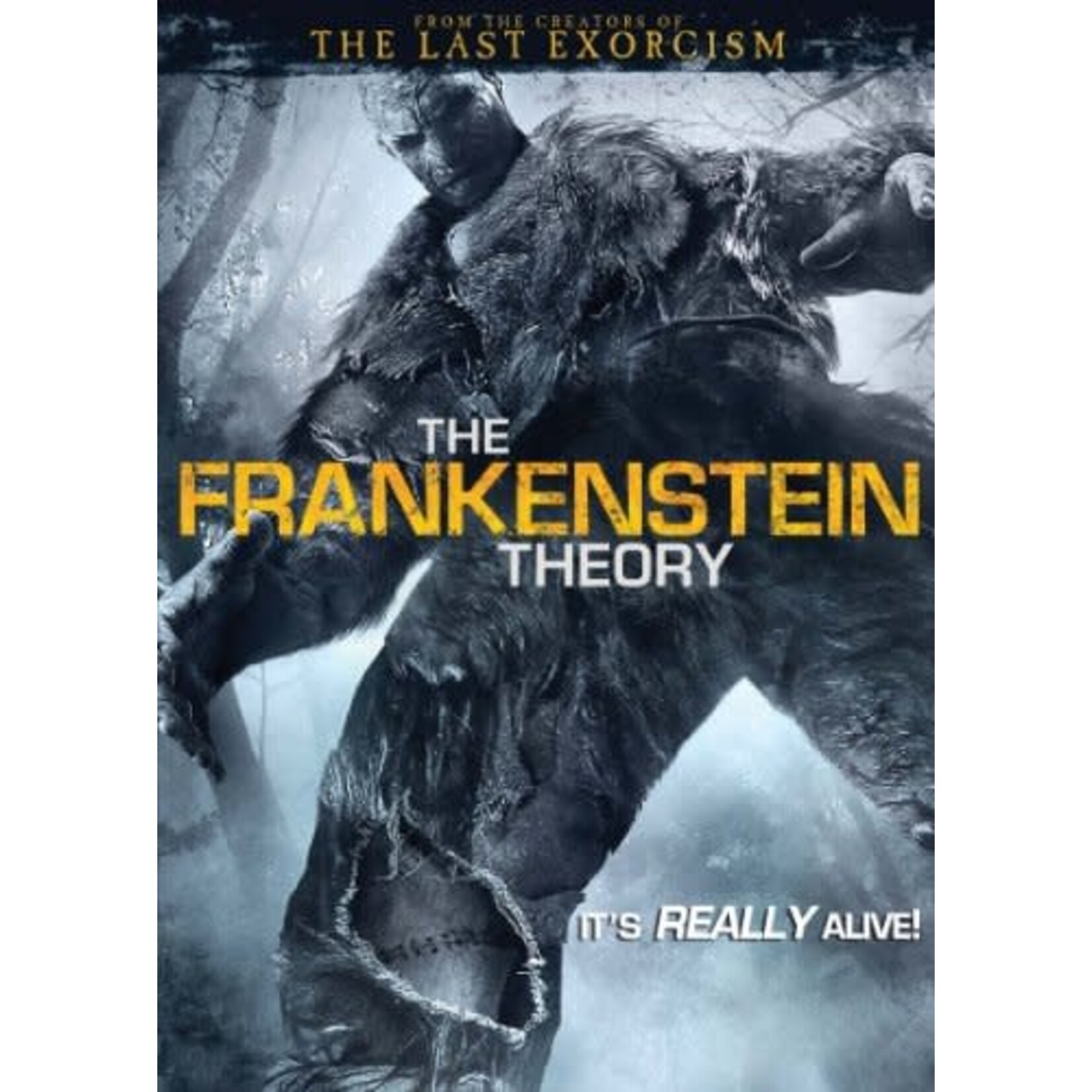 Frankenstein Theory (2013) [USED DVD]