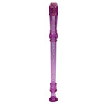 Plastic Recorder