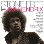 Various Artists - Stone Free: A Tribute To Jimi Hendrix [USED CD]