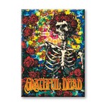 Magnet - Grateful Dead: Skeleton & Roses
