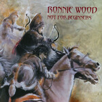 Ronnie Wood - Not For Beginners [USED CD]