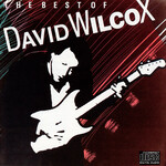 David Wilcox - The Best Of David Wilcox [USED CD]