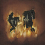 Besnard Lakes - The Besnard Lakes Are The Dark Horse [USED CD]