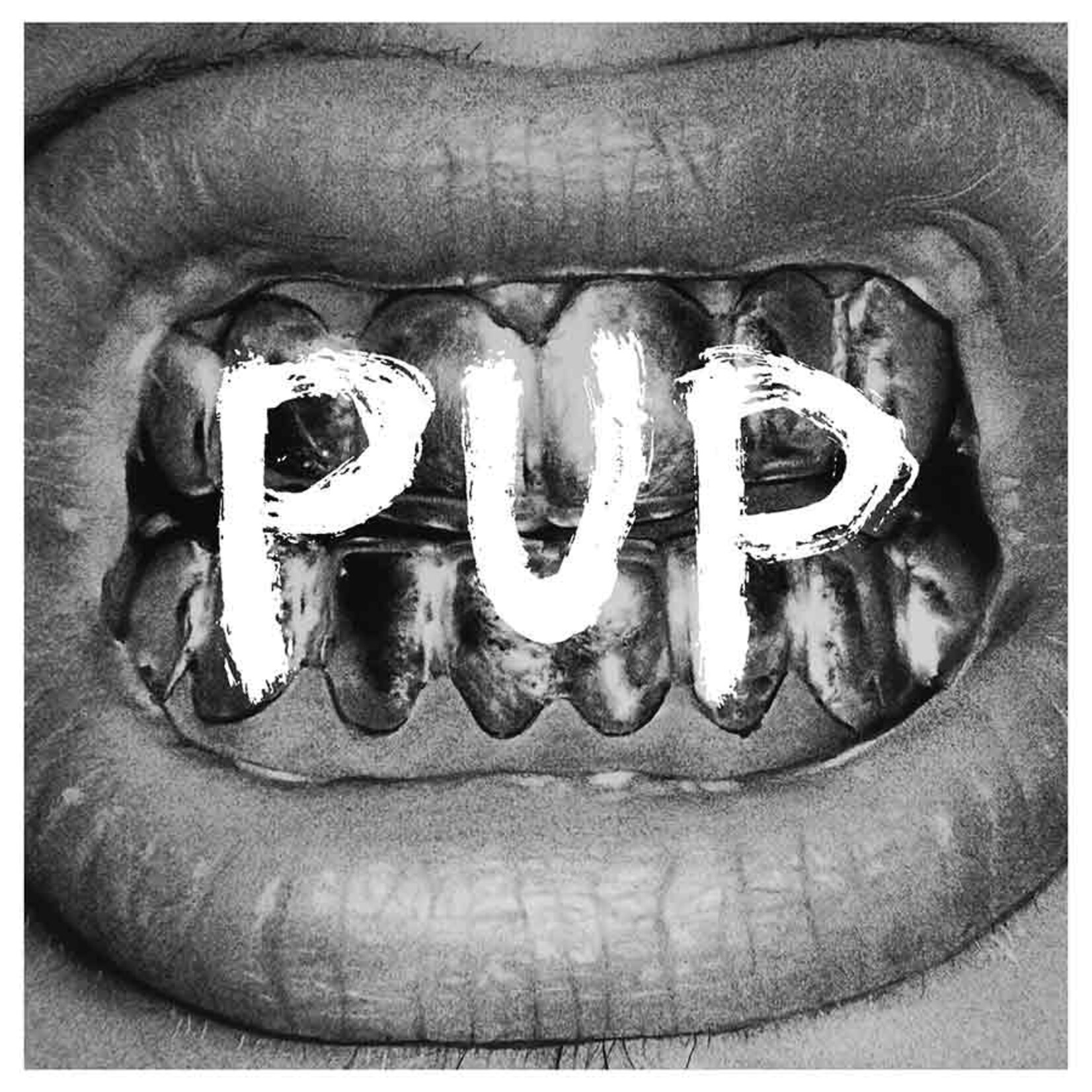 Pup - Pup [CD]