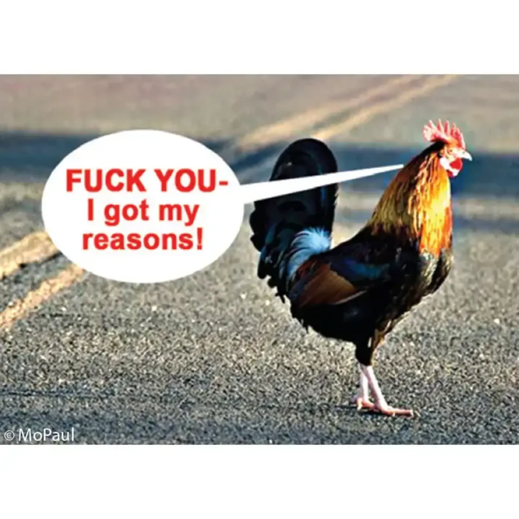 Magnet - Fuck You - I Got My Reasons!