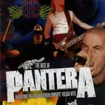 Pantera - The Best Of Pantera: Far Beyond The Great Southern Cowboys' Vulgar Hits [USED CD/DVD]