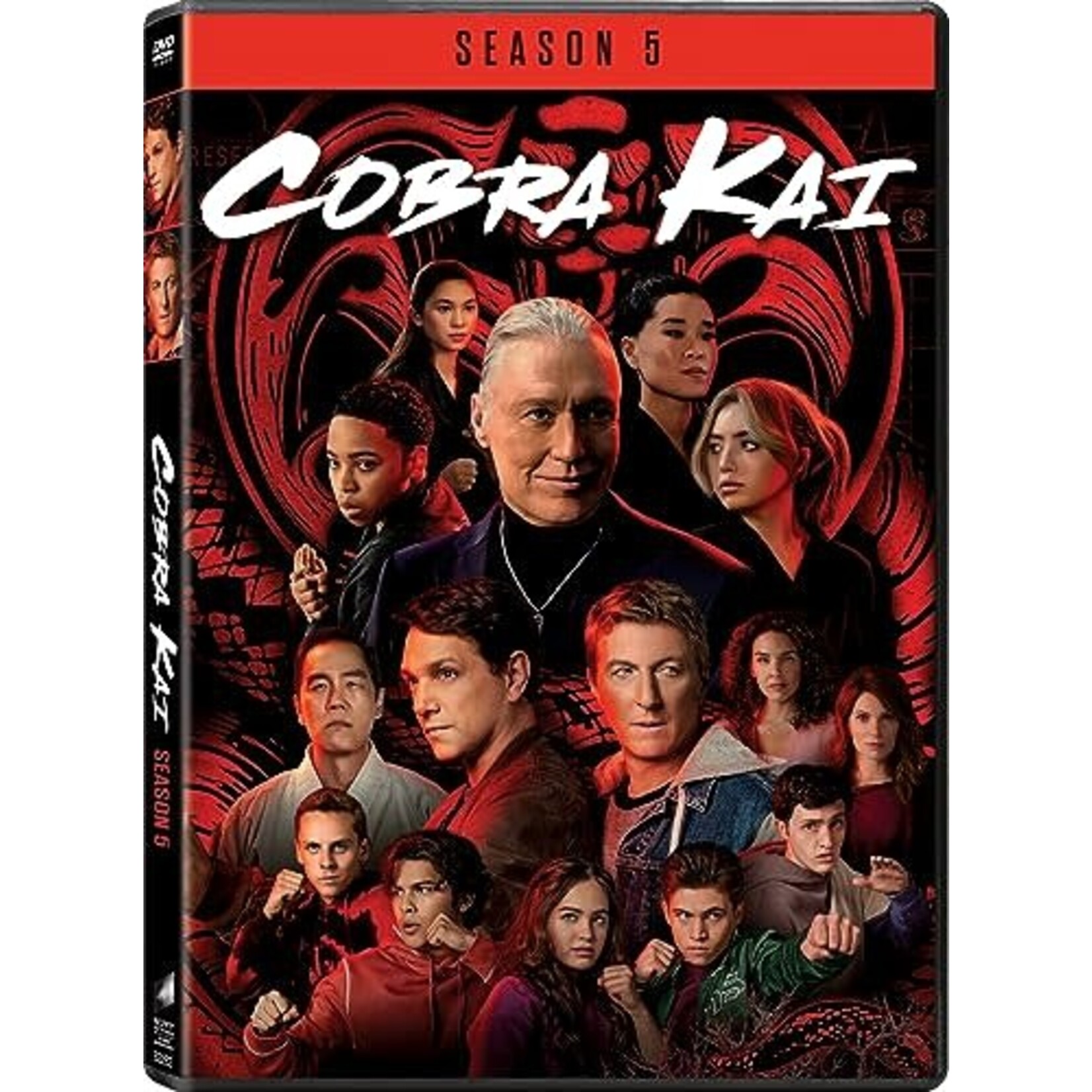 Cobra Kai - Season 5 [USED DVD]