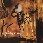 I Mother Earth - Dig [USED CD]