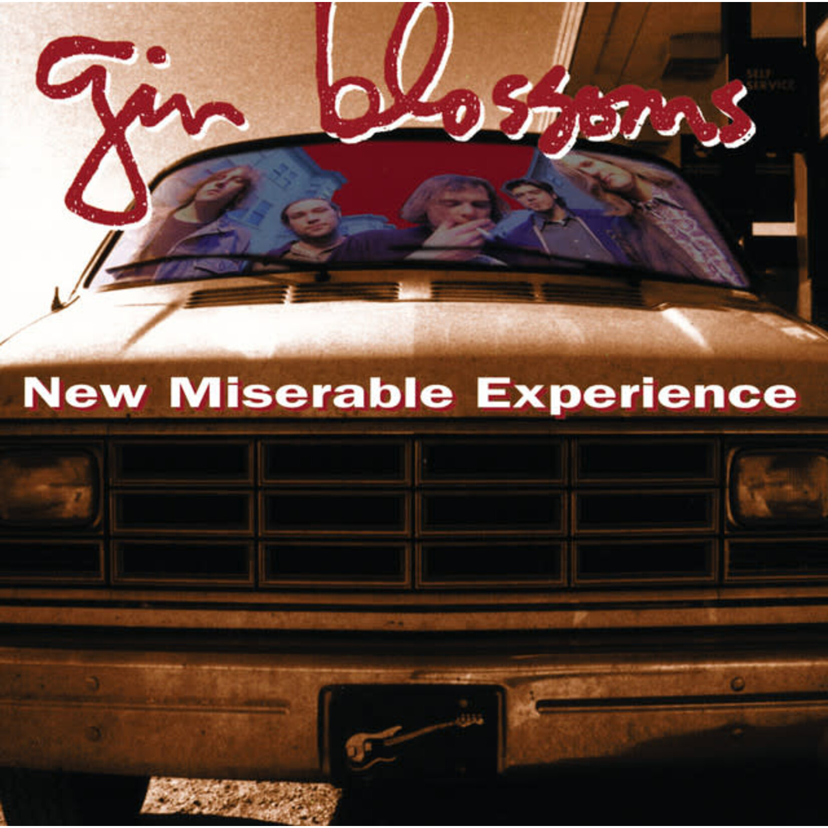 Gin Blossoms - New Miserable Experience [USED CD]