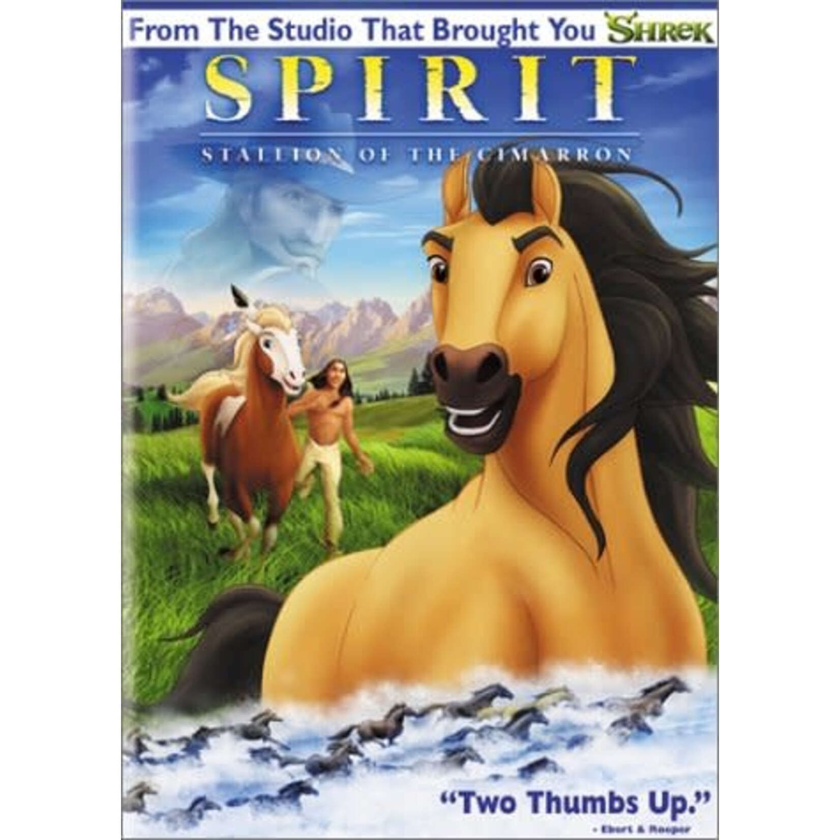 Spirit: Stallion Of The Cimarron (2002) [USED DVD]