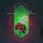 Sarah McLachlan - Rarities, B-Sides & Other Stuff [USED CD]