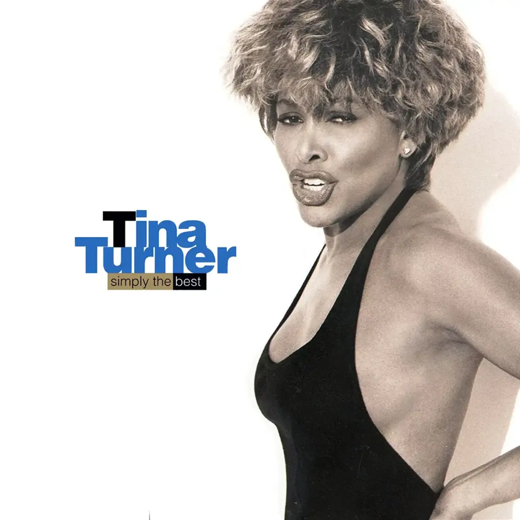Tina Turner - Simply The Best [USED CD]