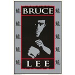 Poster - Bruce Lee: Fists