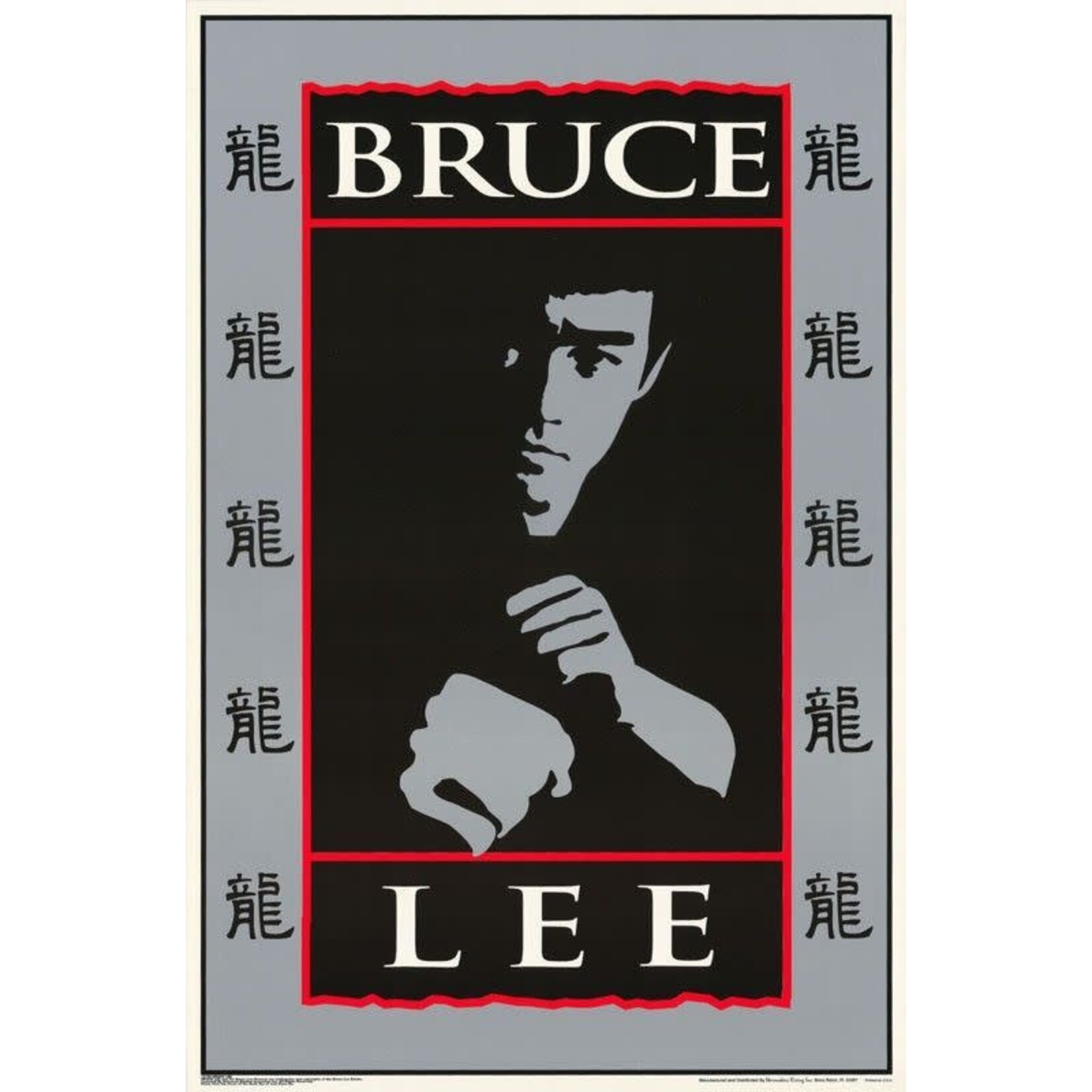 Poster - Bruce Lee: Fists