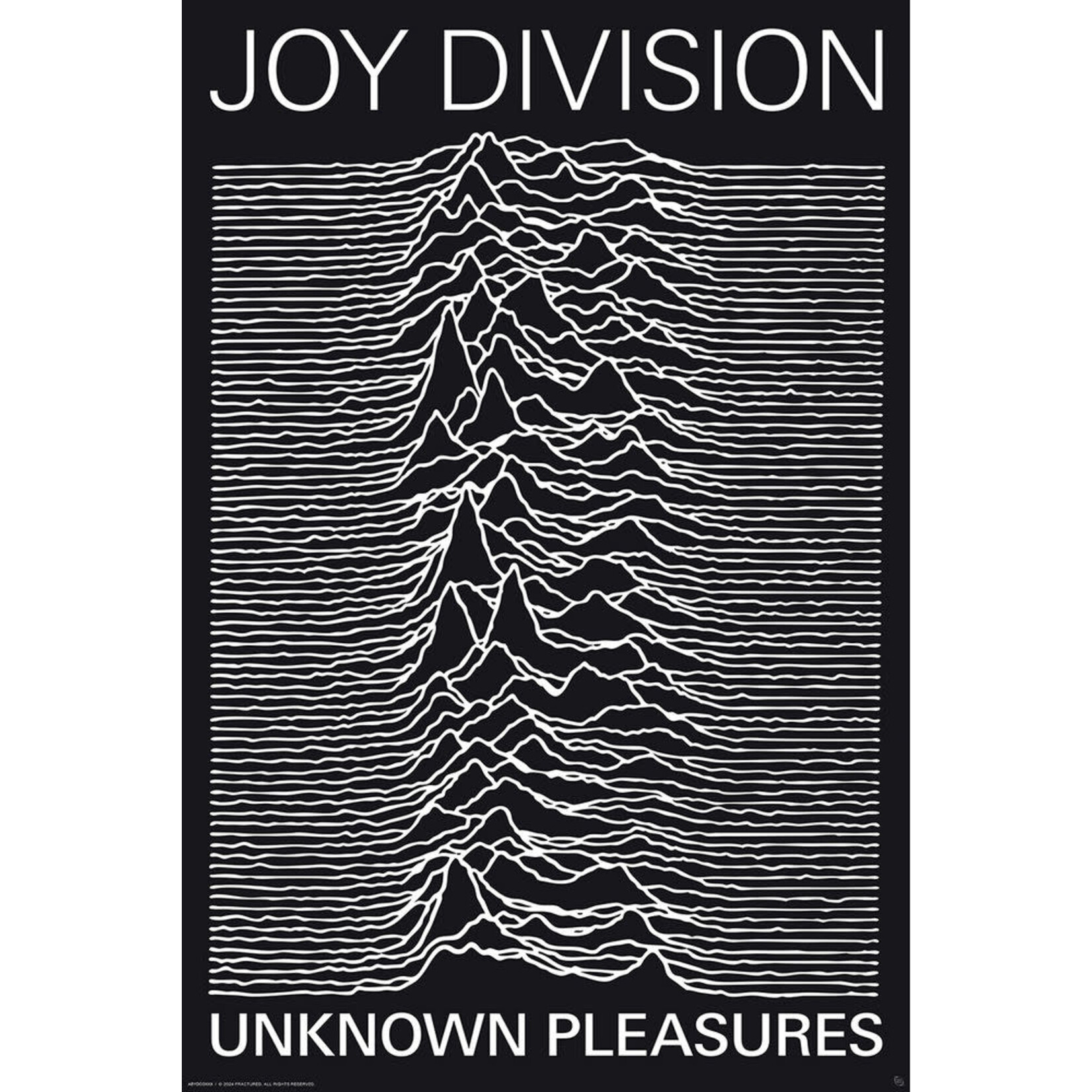 Poster - Joy Division: Unknown Pleasures