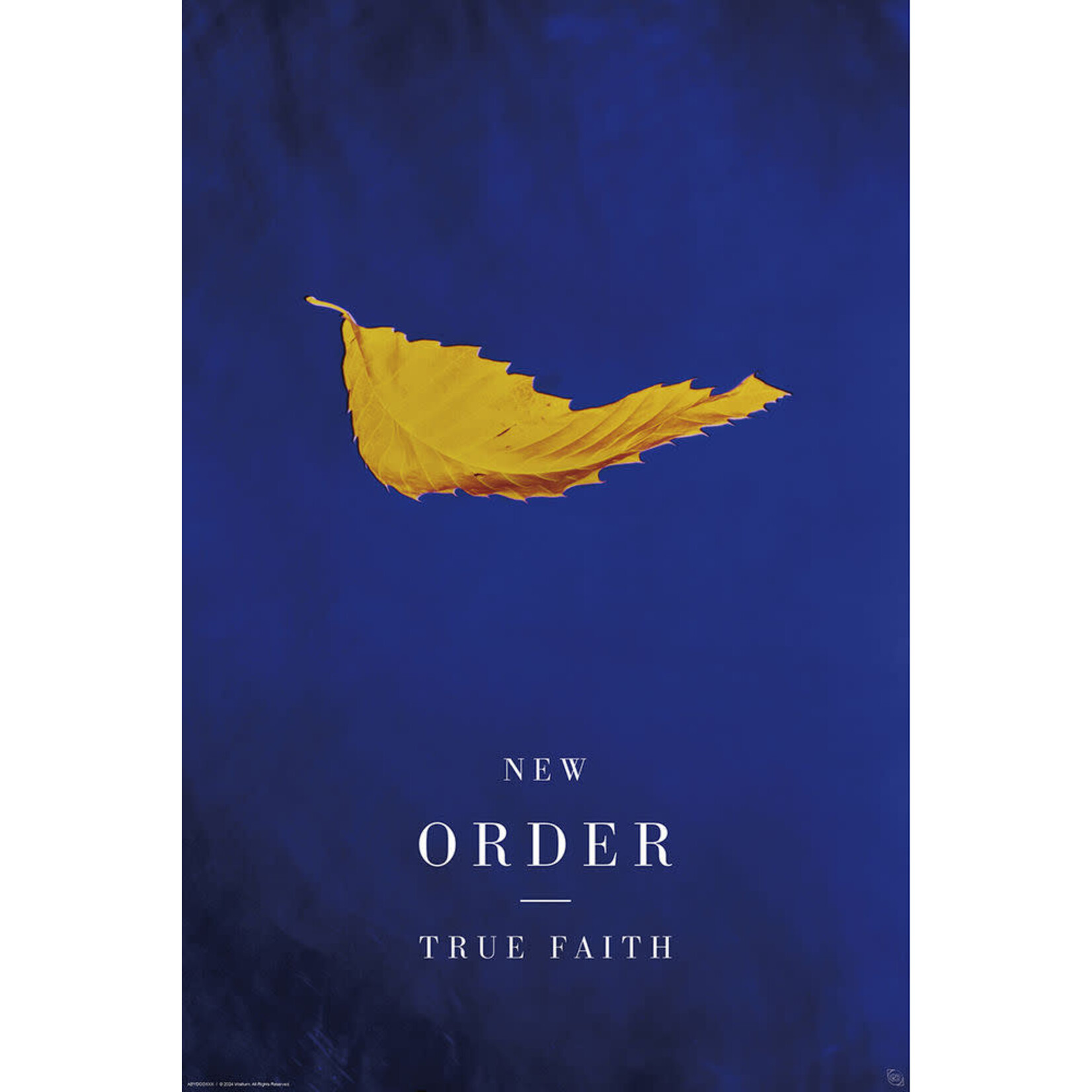 Poster - New Order: True Faith