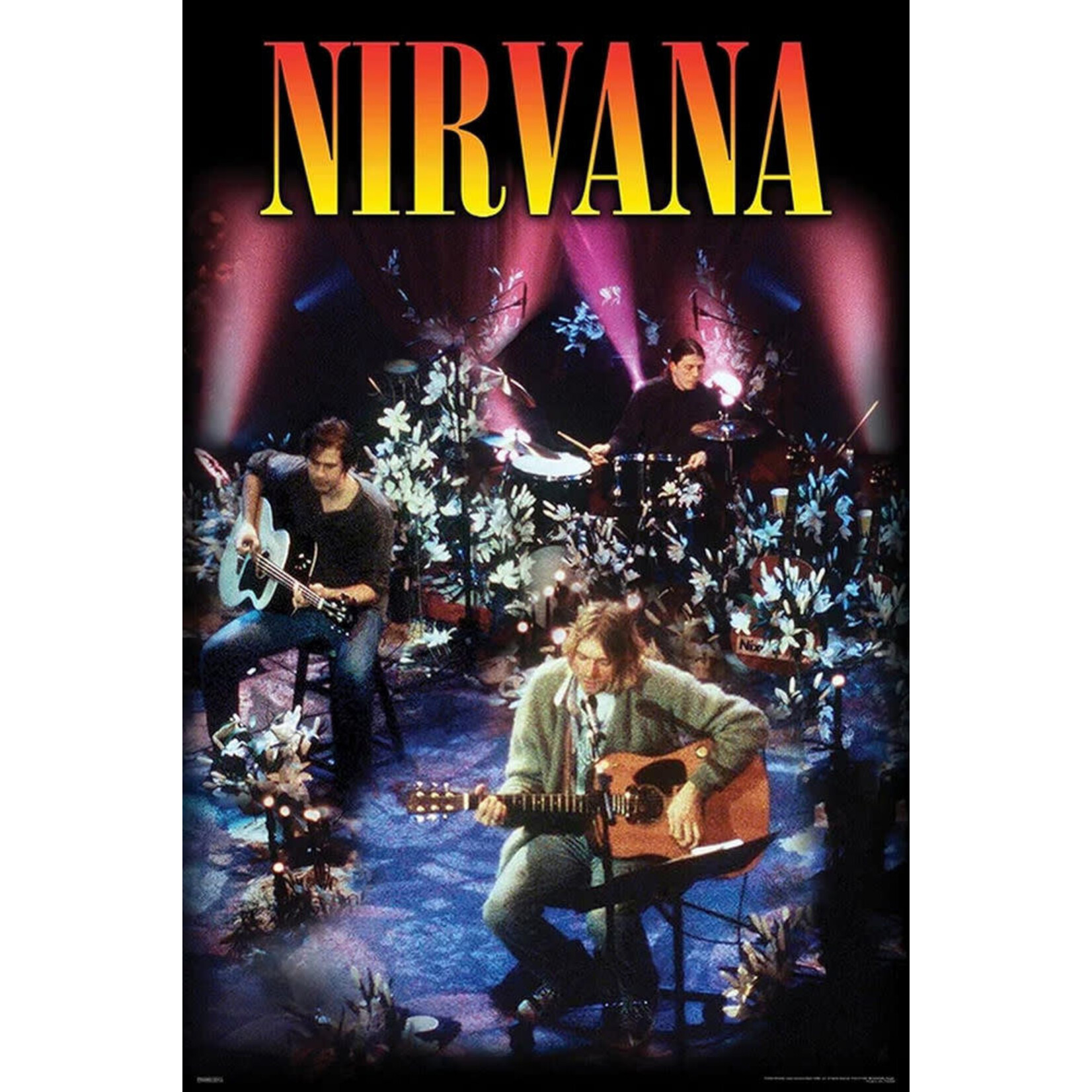 Poster - Nirvana: Unplugged