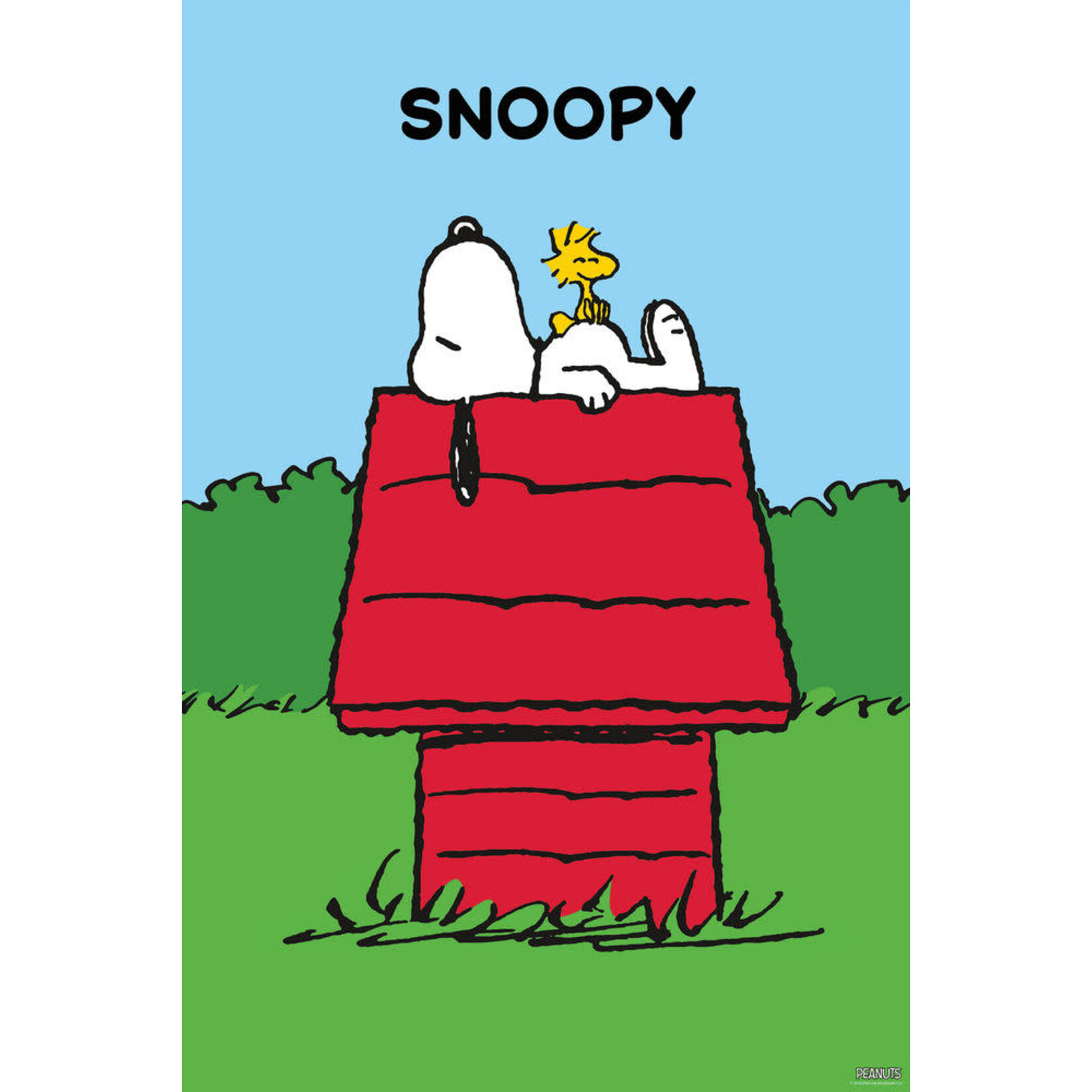 Poster - Peanuts: Snoopy Dog House