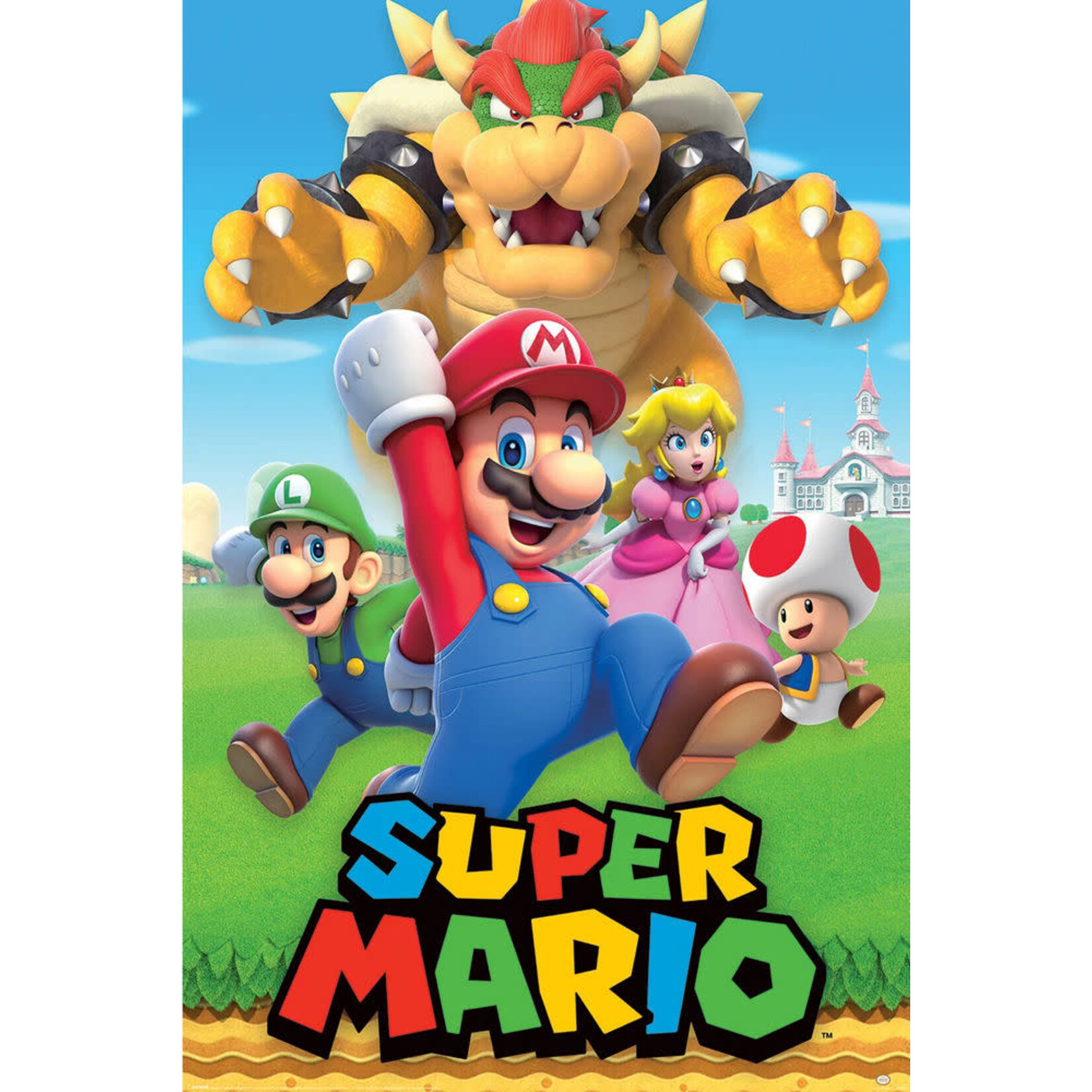 Poster - Super Mario Bros.: Character Montage