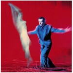 Peter Gabriel - Us [USED CD]