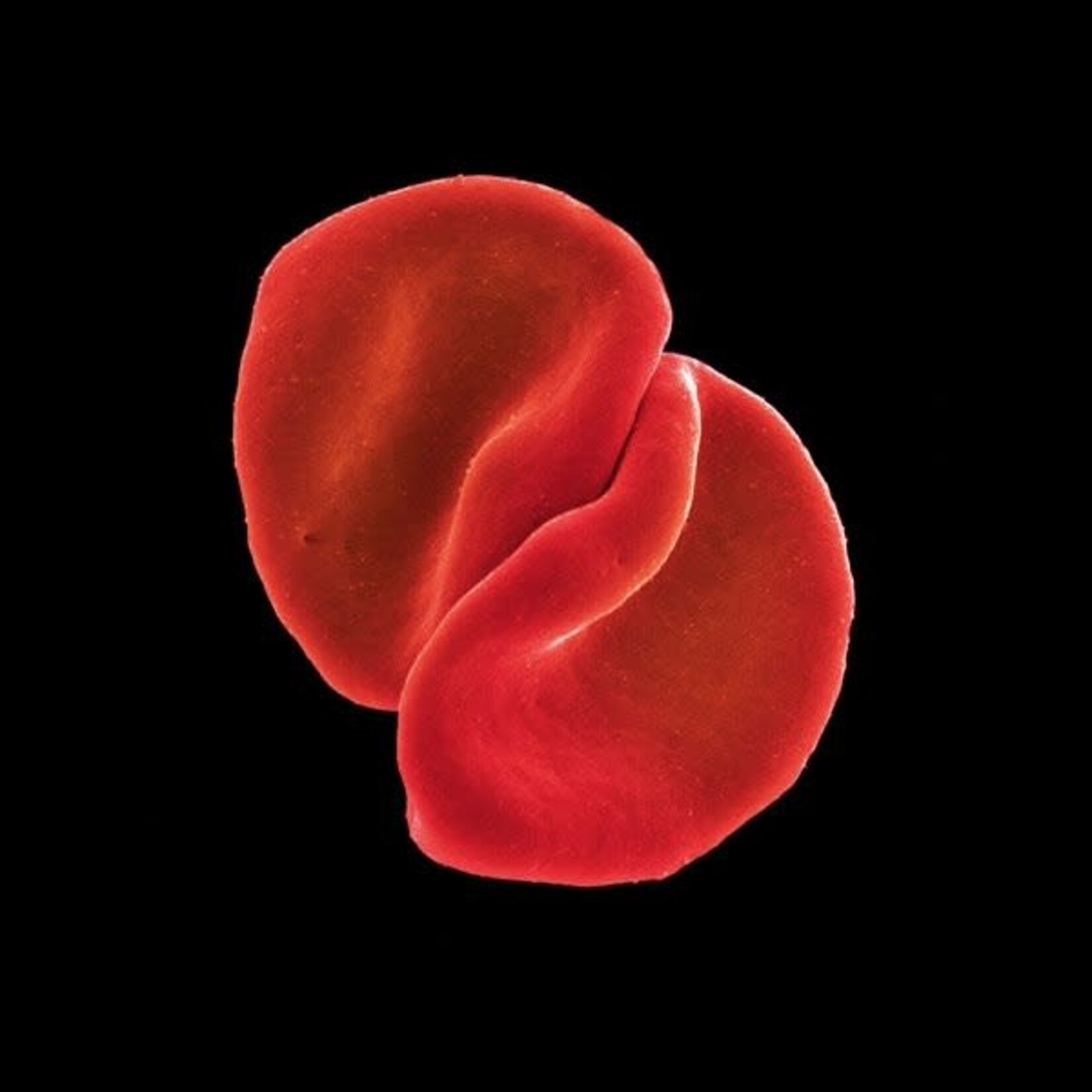 Peter Gabriel - Scratch My Back [USED CD]