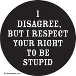 Button - I Disagree, But I Respect Your Right To Be Stupid