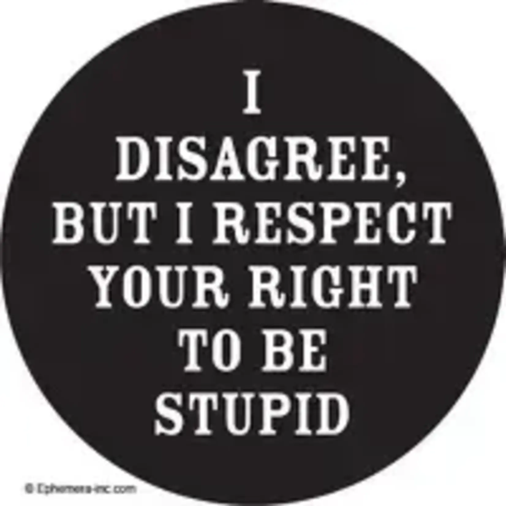 Button - I Disagree, But I Respect Your Right To Be Stupid
