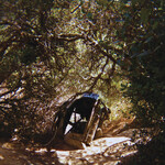 Ty Segall - Possession [LP]