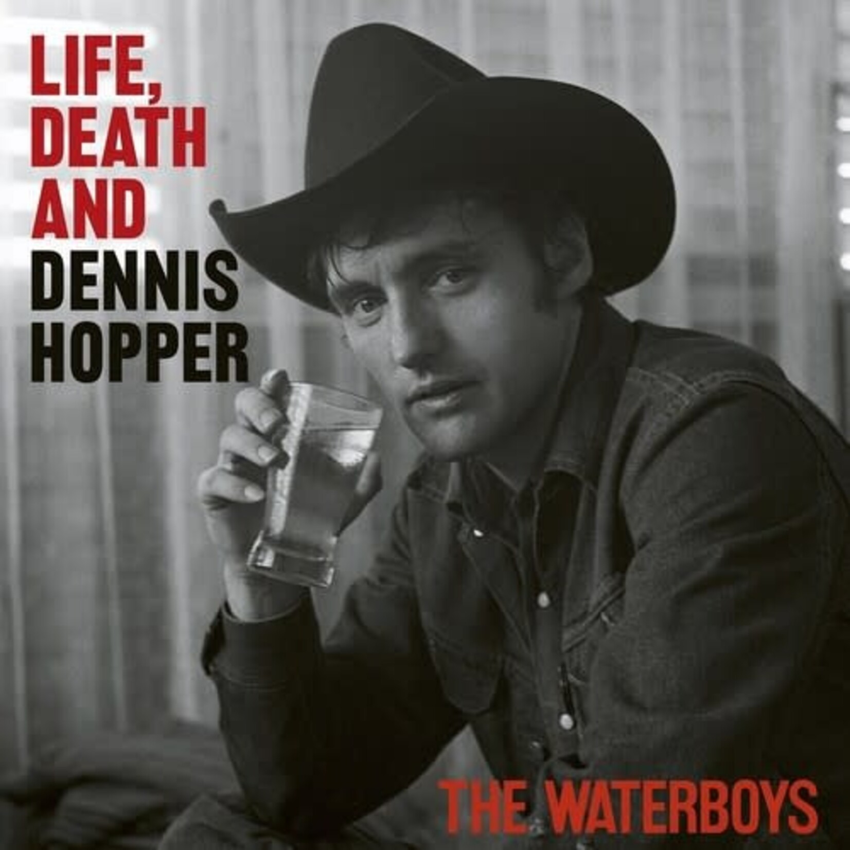 Waterboys - Life, Death And Dennis Hopper [CD]