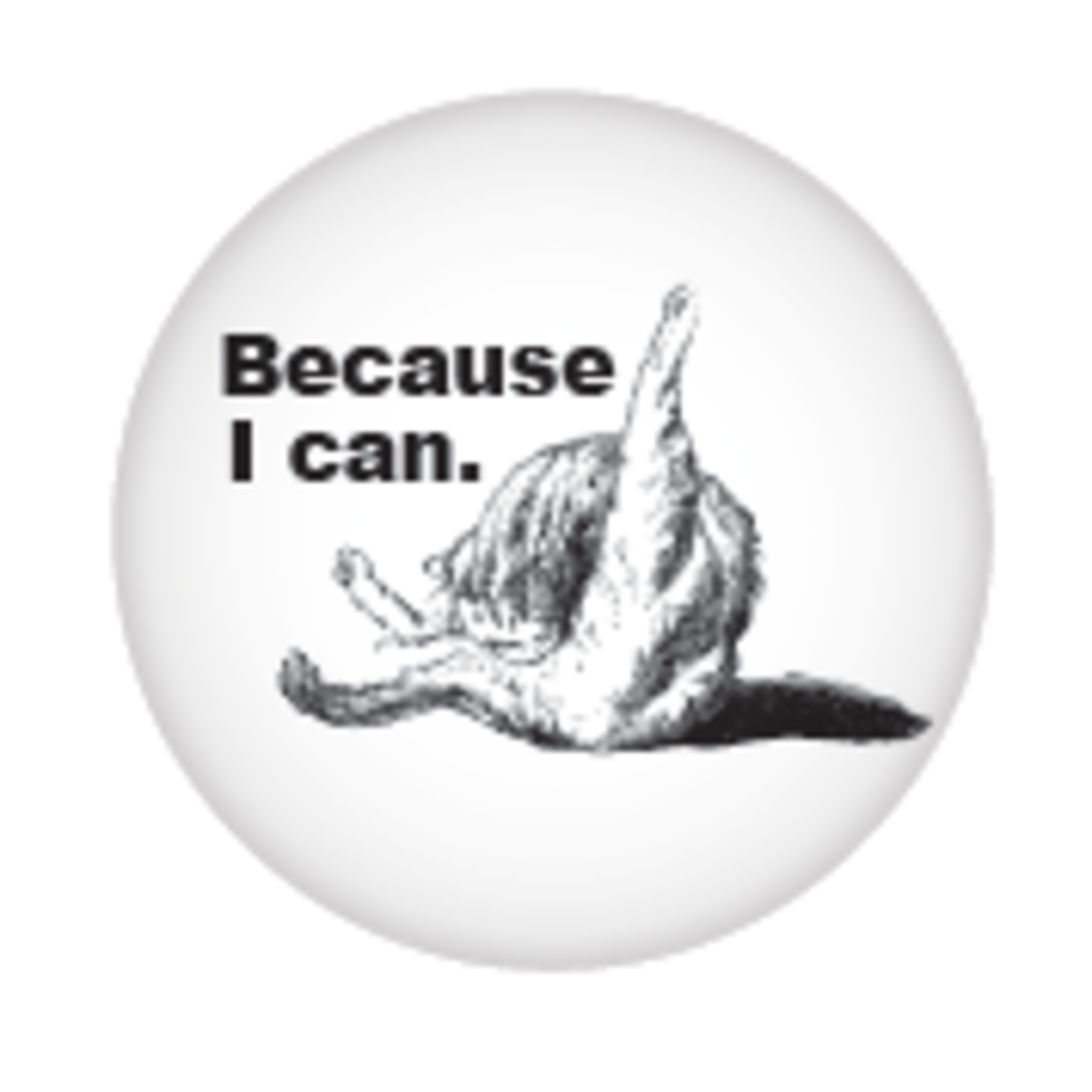 Button - Because I Can.