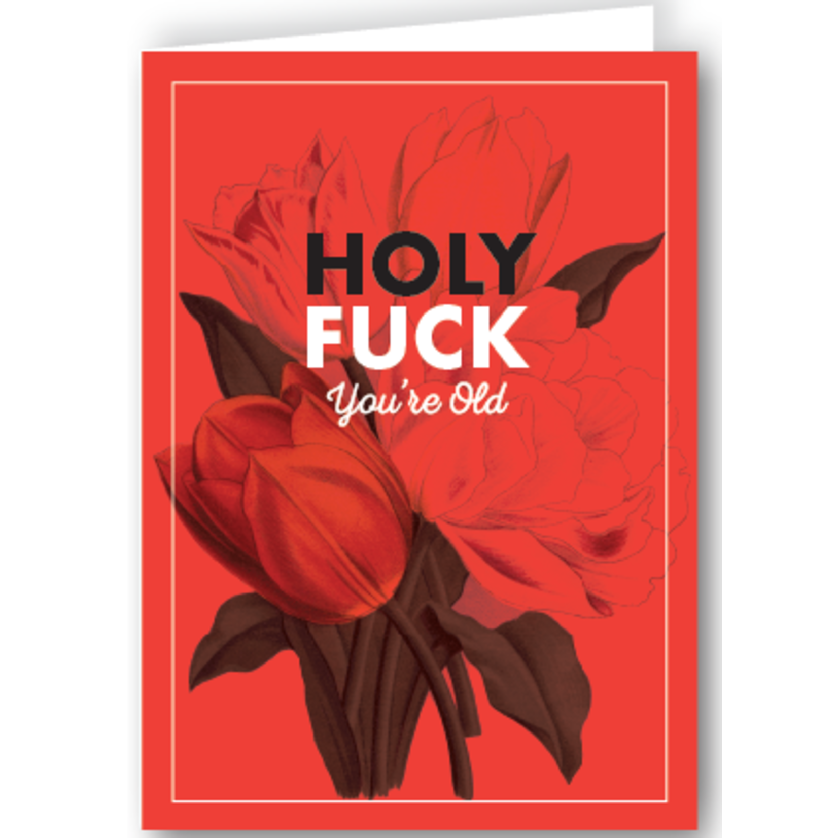Greeting Card - Holy Fuck You're Old