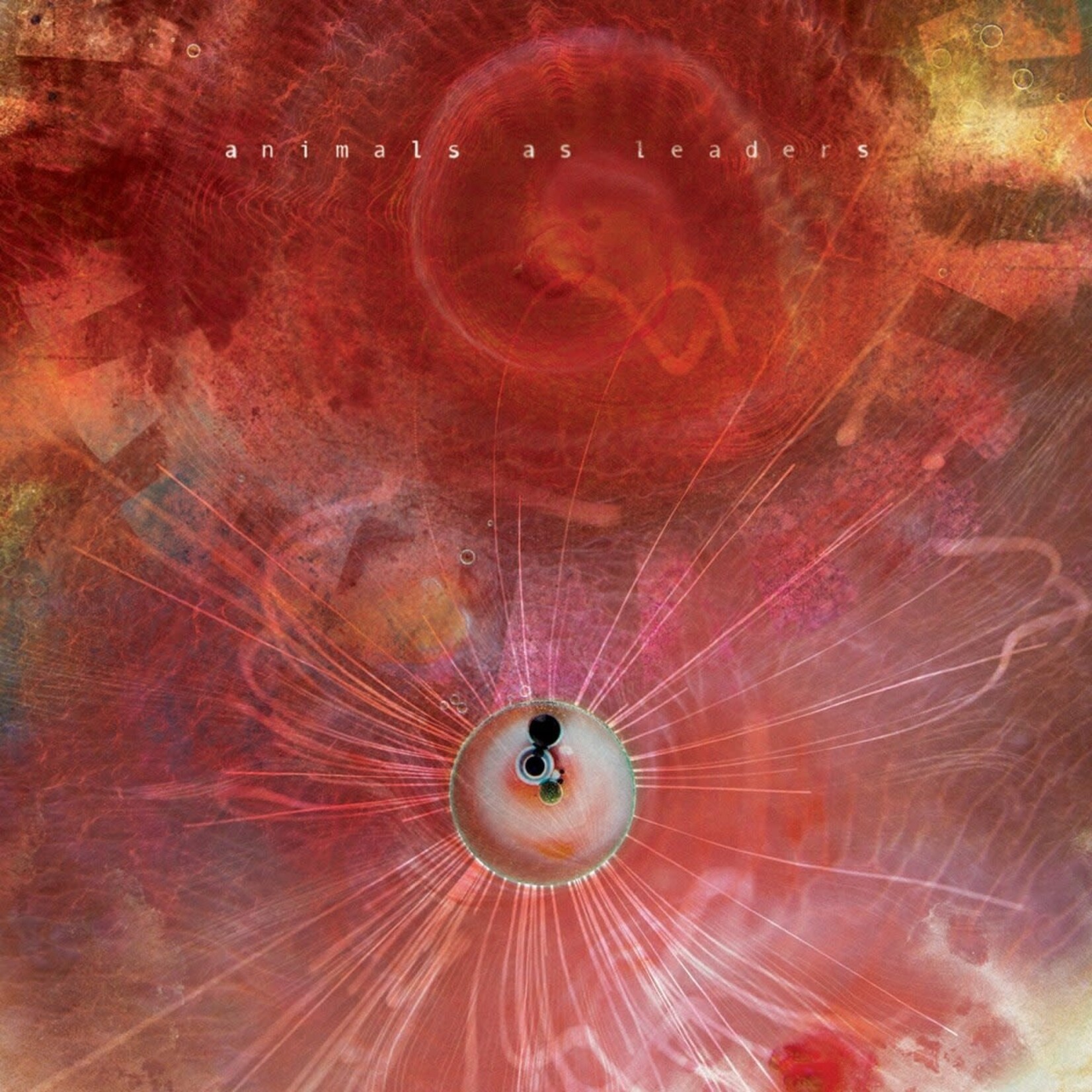 Animals As Leaders - The Joy Of Motion [USED CD]