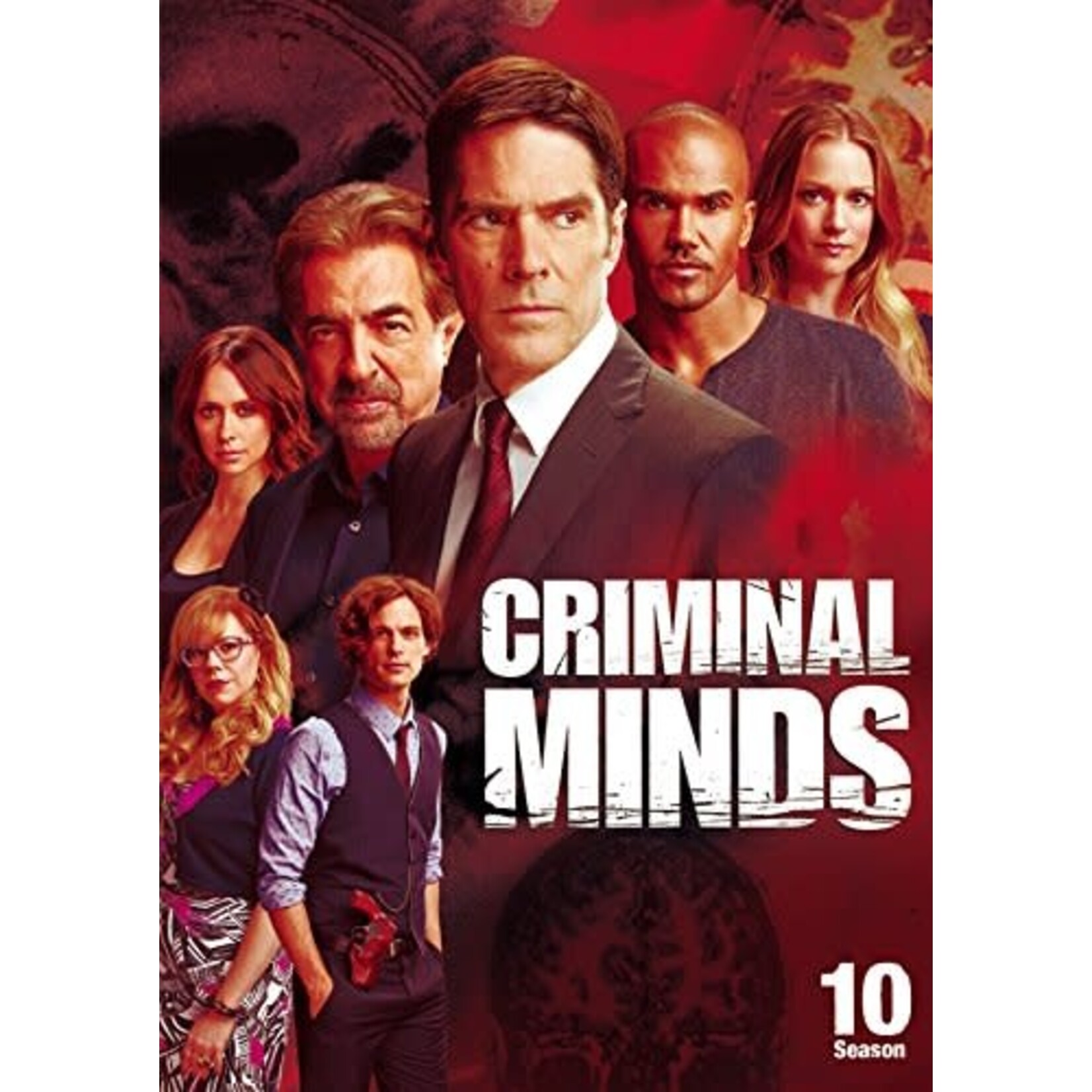 Criminal Minds - Season 10 [USED DVD]