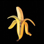 Dandy Warhols - Welcome To The Monkey House [USED CD]