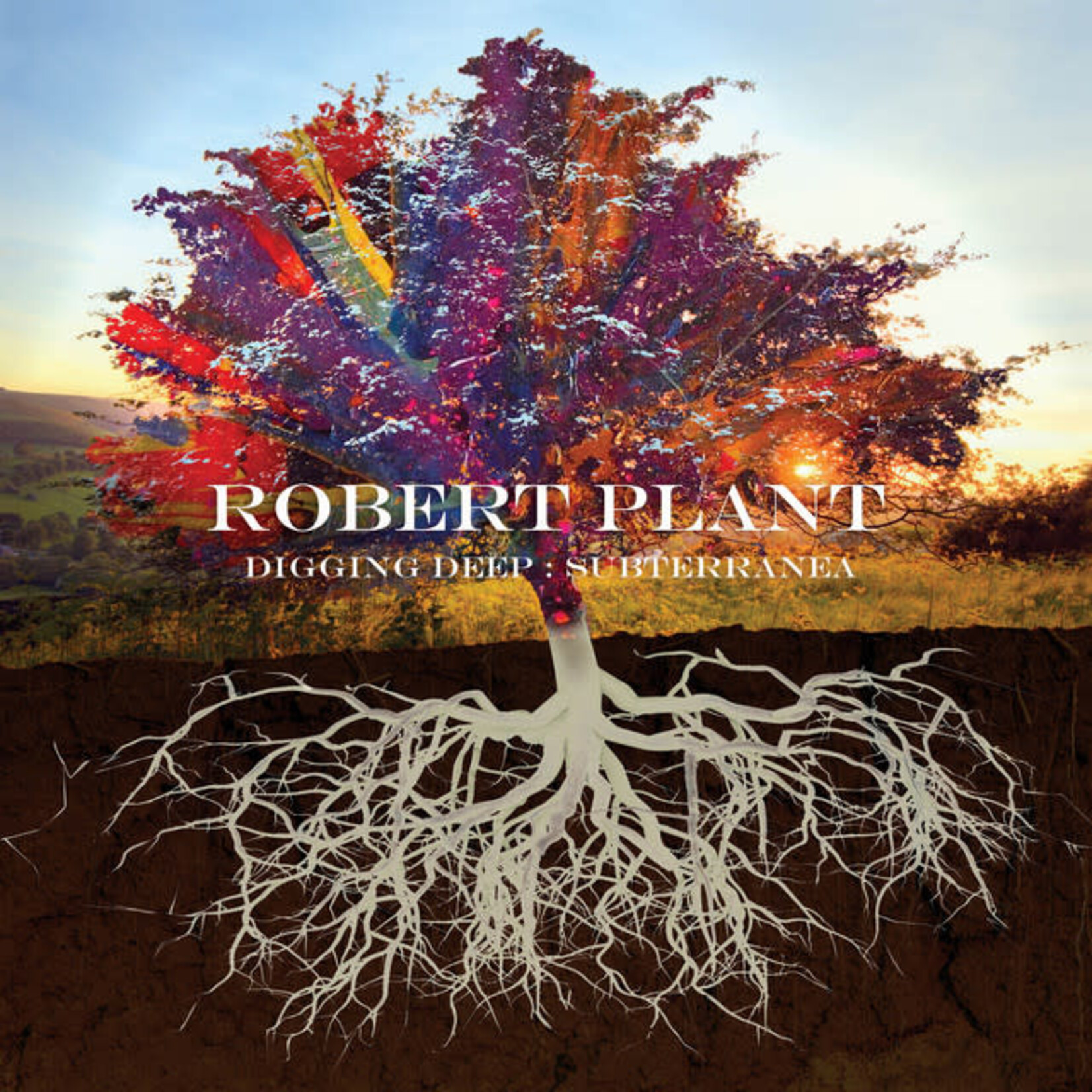Robert Plant - Digging Deep: Subterranea [USED 2CD]