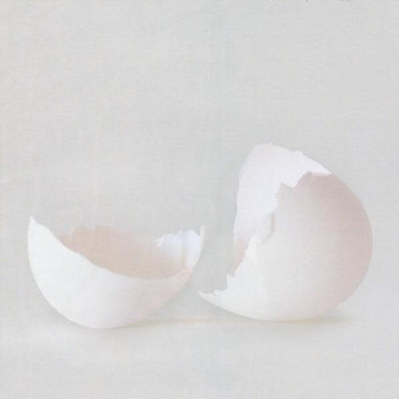 Wilco - A Ghost Is Born [USED CD]