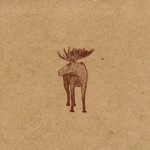 Hayden - Skyscraper National Park [USED CD]