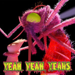 Yeah Yeah Yeahs - Mosquito [USED CD]