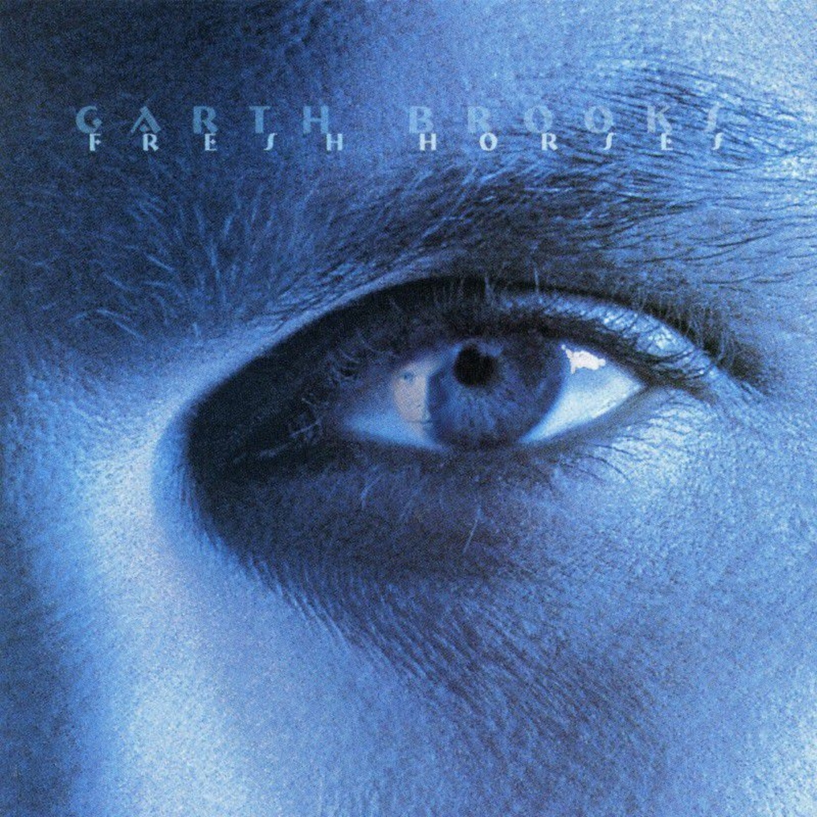 Garth Brooks - Fresh Horses [USED CD]