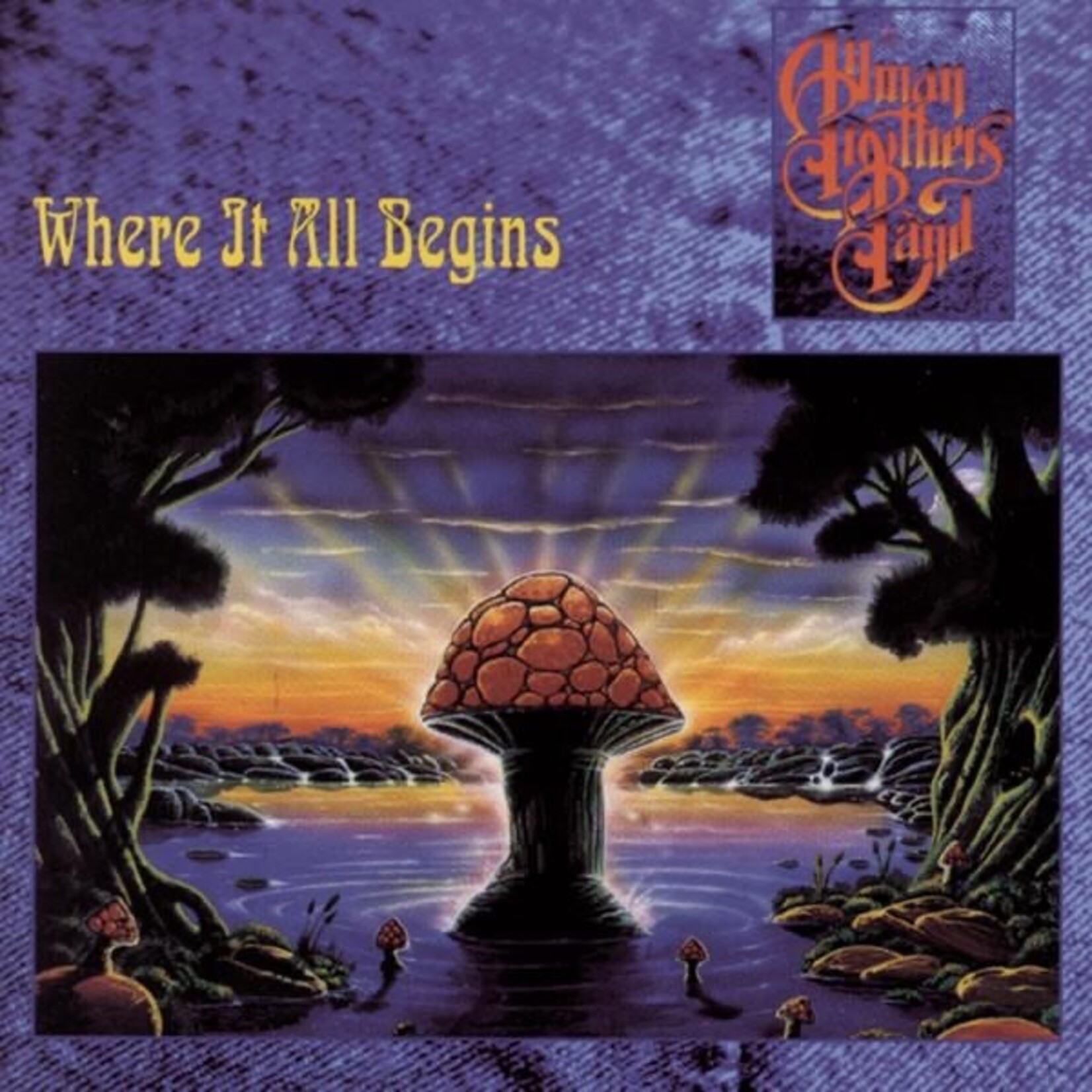 Allman Brothers Band - Where It All Begins [USED CD]