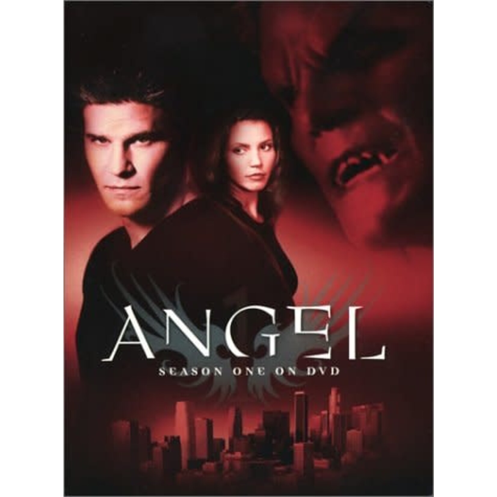 Angel - Season 1 [USED DVD]