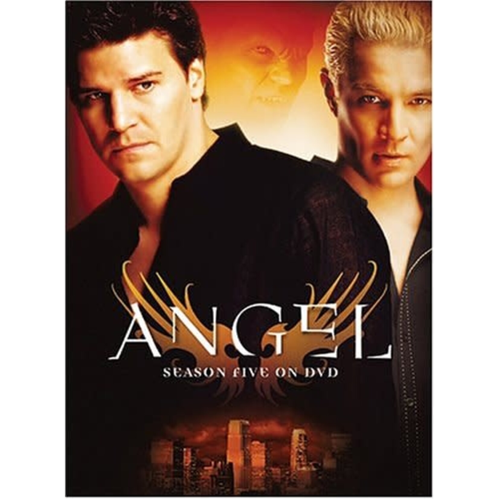 Angel - Season 5 [USED DVD]