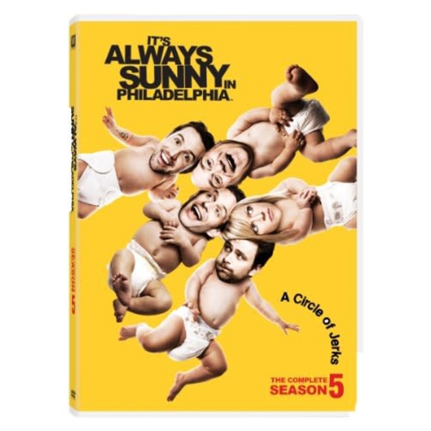It's Always Sunny In Philadelphia - Season 5 [USED DVD]