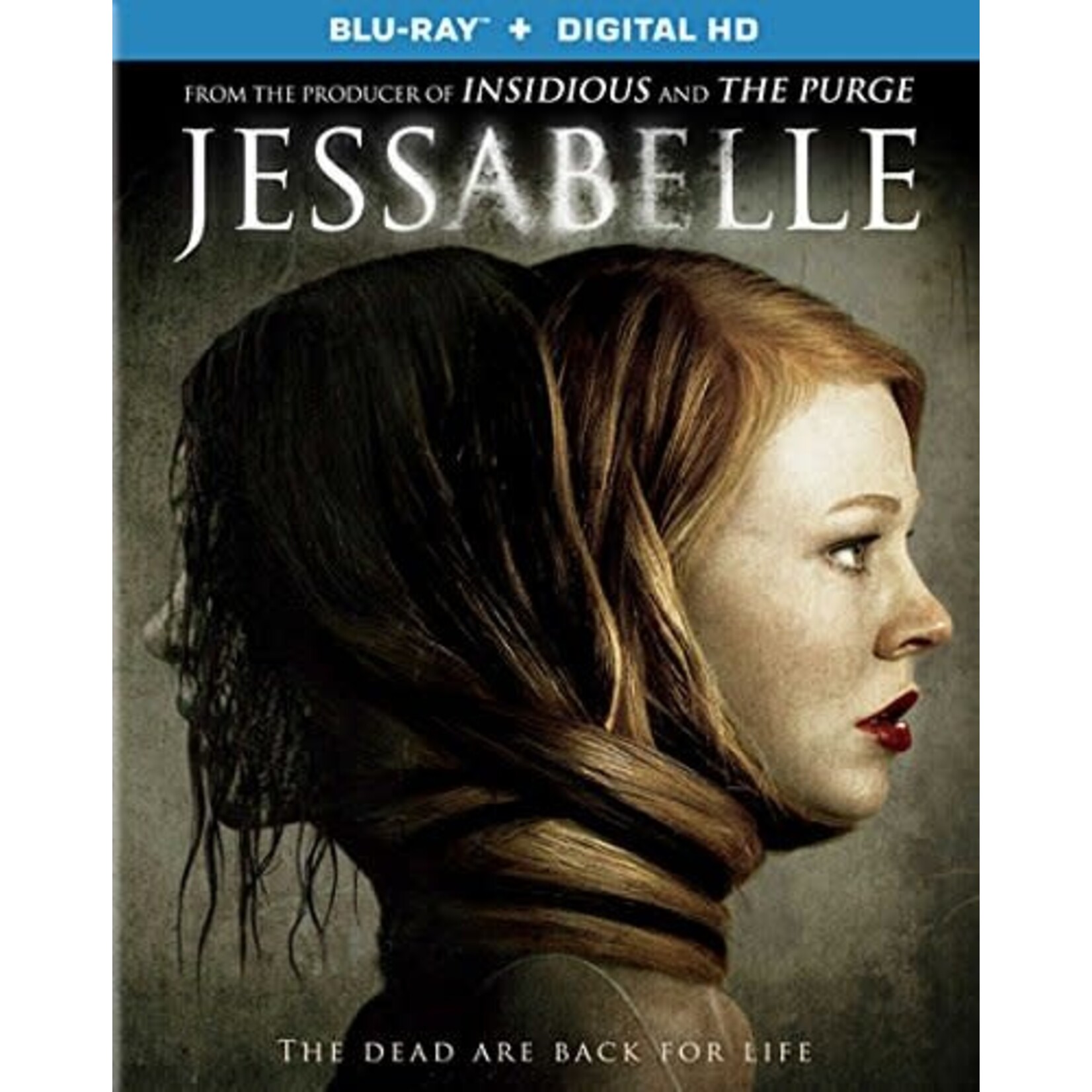 Jessabelle (2014) [USED BRD]