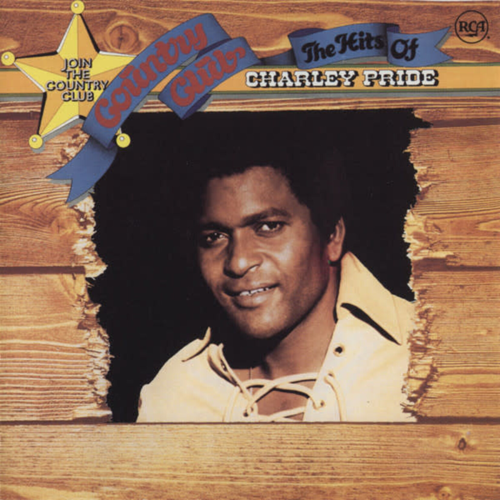 Charley Pride - The Hits Of Charley Pride [USED CD]