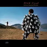 Pink Floyd - Delicate Sound Of Thunder: Live [USED 2CD]