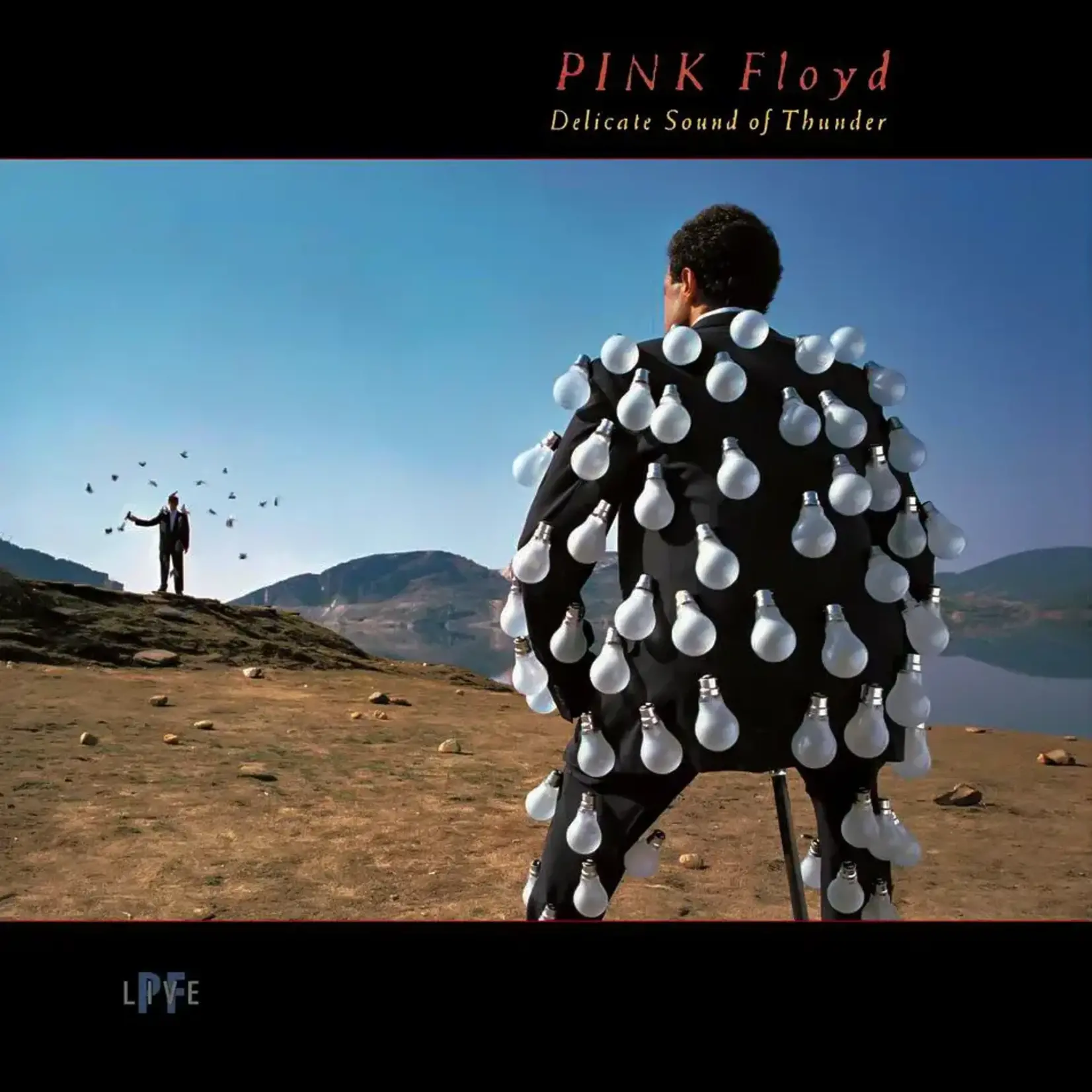Pink Floyd - Delicate Sound Of Thunder: Live [USED 2CD]