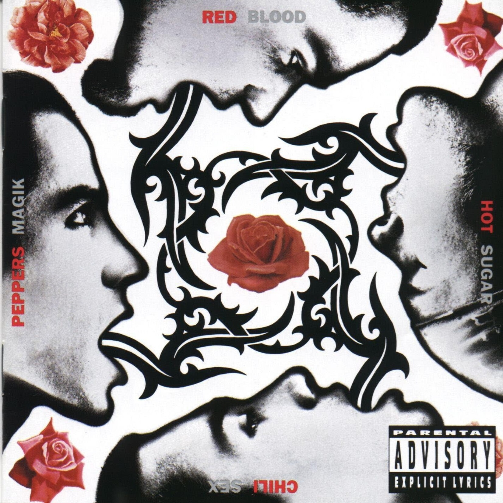 Red Hot Chili Peppers - Blood Sugar Sex Magik [USED CD]